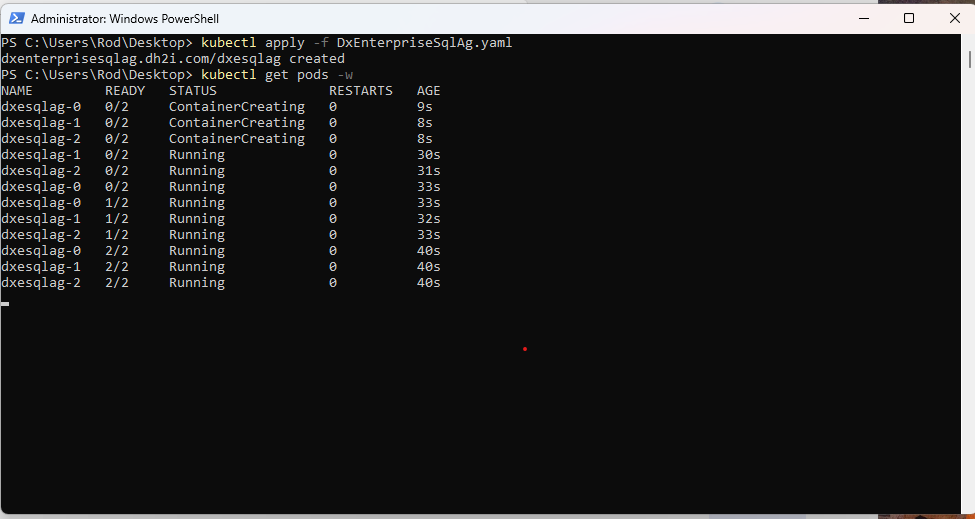Verify the status of the Kubernetes pods.