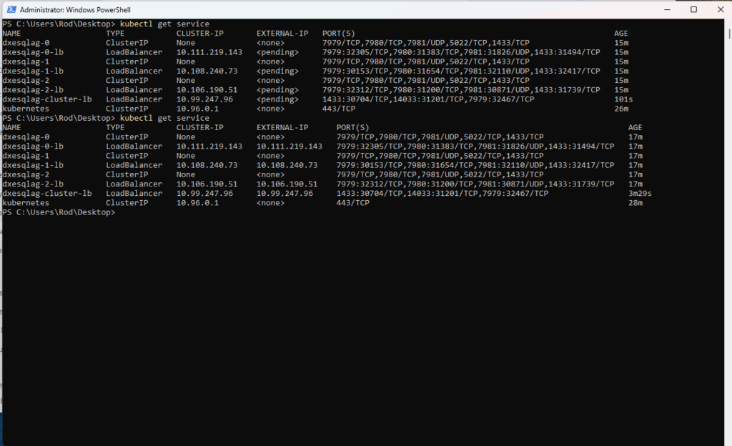 List the service and note its public IP address.